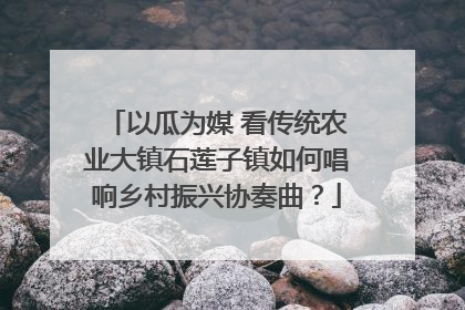 以瓜为媒 看传统农业大镇石莲子镇如何唱响乡村振兴协奏曲？