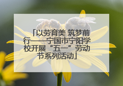 以劳育美 筑梦前行——宁国市宁阳学校开展“五一”劳动节系列活动