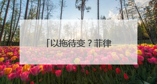 以拖待变？菲律宾副总统弹劾案被退回众院，新一届国会7月成立