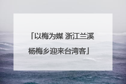 以梅为媒 浙江兰溪杨梅乡迎来台湾客