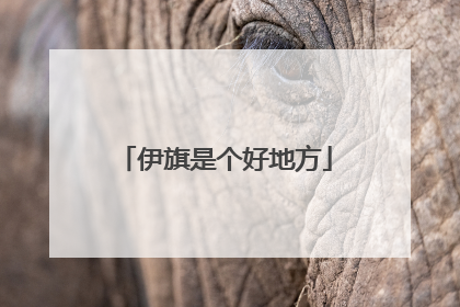 伊旗是个好地方