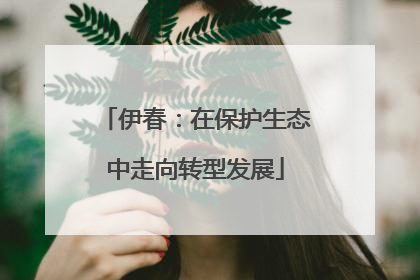 伊春：在保护生态中走向转型发展