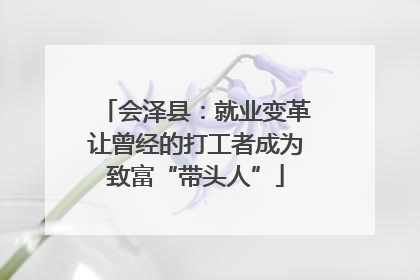 会泽县：就业变革让曾经的打工者成为致富“带头人”