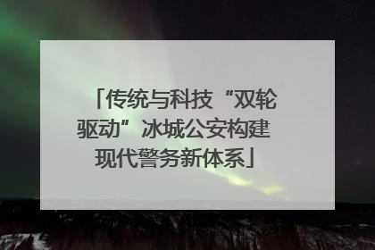 传统与科技“双轮驱动”冰城公安构建现代警务新体系