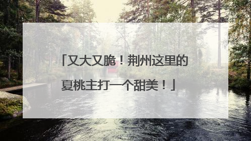 又大又脆！荆州这里的夏桃主打一个甜美！