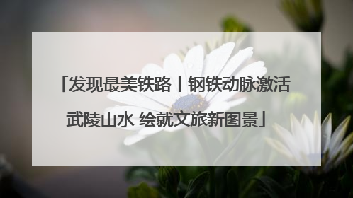 发现最美铁路丨钢铁动脉激活武陵山水 绘就文旅新图景