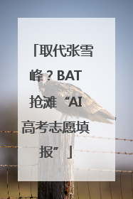取代张雪峰？BAT抢滩“AI高考志愿填报”