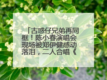 古惑仔兄弟再同框！陈小春演唱会现场被郑伊健感动落泪，二人合唱《一起冲一起闯》再现青春回忆