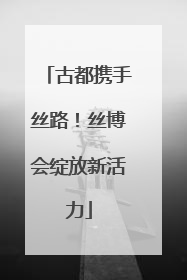 古都携手丝路！丝博会绽放新活力