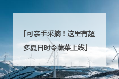 可亲手采摘！这里有超多夏日时令蔬菜上线