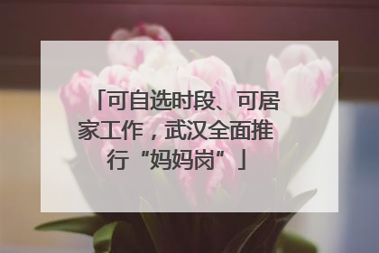 可自选时段、可居家工作，武汉全面推行“妈妈岗”