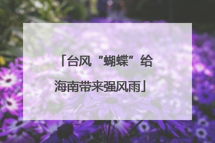 台风“蝴蝶”给海南带来强风雨