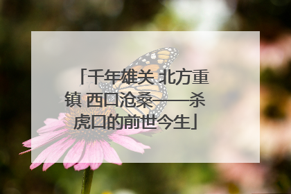 千年雄关 北方重镇 西口沧桑——杀虎口的前世今生