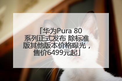 华为Pura 80系列正式发布 除标准版其他版本价格曝光，售价6499元起