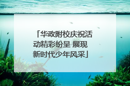 华政附校庆祝活动精彩纷呈 展现新时代少年风采