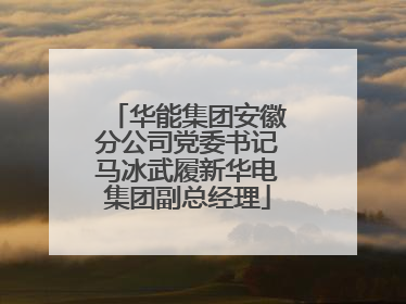 华能集团安徽分公司党委书记马冰武履新华电集团副总经理