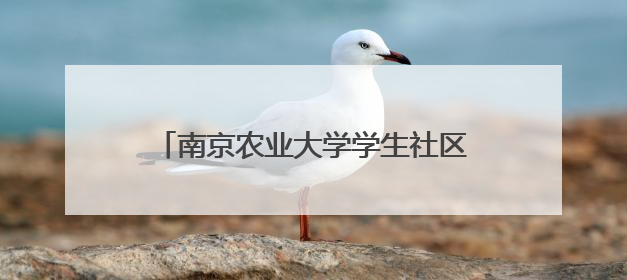 南京农业大学学生社区上演“宿舍变形记”