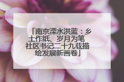 南京溧水洪蓝：乡土作纸、岁月为笔 社区书记二十九载描绘发展新画卷