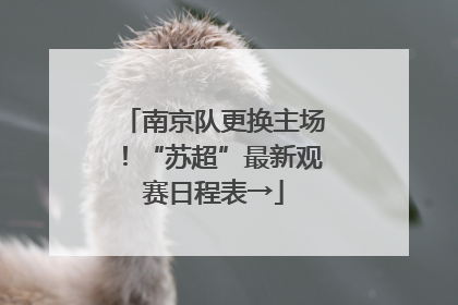 南京队更换主场！“苏超”最新观赛日程表→