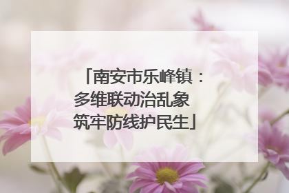 南安市乐峰镇：多维联动治乱象 筑牢防线护民生