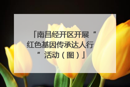 南昌经开区开展“红色基因传承达人行”活动（图）