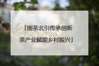南茶北引传承创新 茶产业赋能乡村振兴