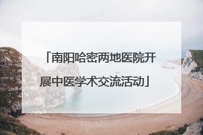 南阳哈密两地医院开展中医学术交流活动