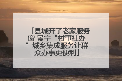 县城开了老家服务窗 景宁“村事社办”城乡集成服务让群众办事更便利