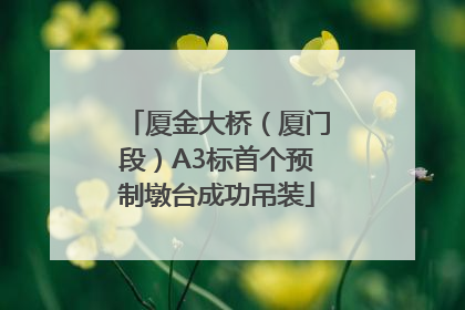 厦金大桥（厦门段）A3标首个预制墩台成功吊装