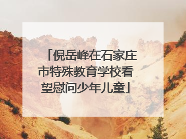倪岳峰在石家庄市特殊教育学校看望慰问少年儿童
