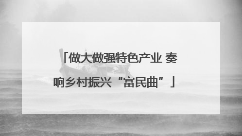 做大做强特色产业 奏响乡村振兴“富民曲”