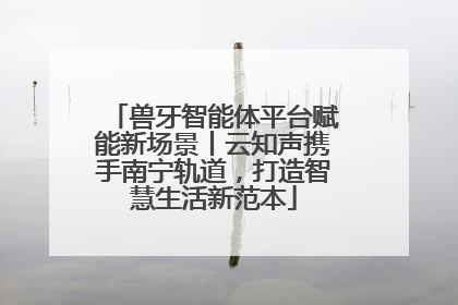 兽牙智能体平台赋能新场景丨云知声携手南宁轨道，打造智慧生活新范本