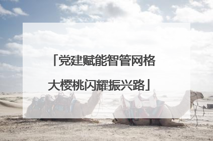 党建赋能智管网格 大樱桃闪耀振兴路