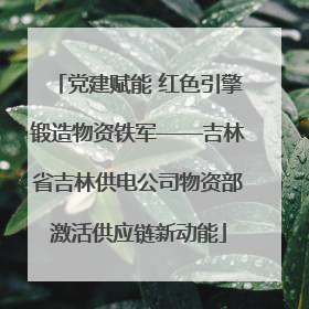 党建赋能 红色引擎锻造物资铁军——吉林省吉林供电公司物资部激活供应链新动能