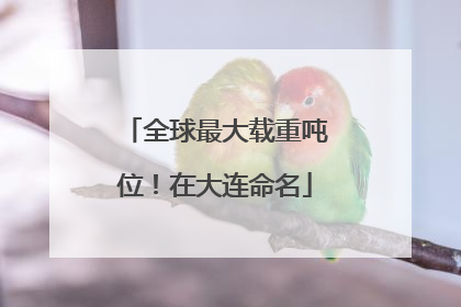 全球最大载重吨位！在大连命名