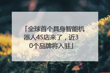 全球首个具身智能机器人4S店来了，近30个品牌将入驻