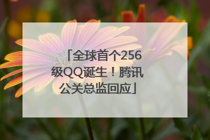 全球首个256级QQ诞生！腾讯公关总监回应