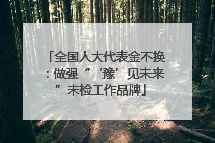 全国人大代表金不换：做强“‘豫’见未来”未检工作品牌