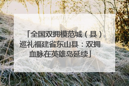 全国双拥模范城（县）巡礼福建省东山县：双拥血脉在英雄岛延续