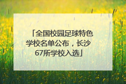 全国校园足球特色学校名单公布，长沙67所学校入选