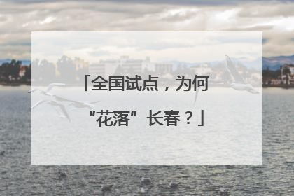 全国试点，为何“花落”长春？