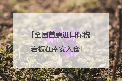 全国首票进口保税岩板在南安入仓