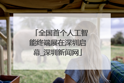 全国首个人工智能终端展在深圳启幕_深圳新闻网
