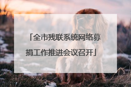 全市残联系统网络募捐工作推进会议召开