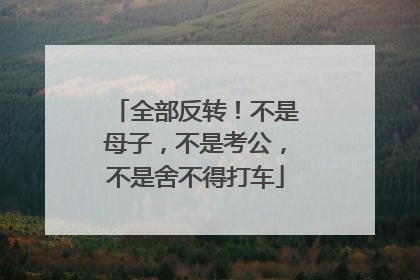 全部反转！不是母子，不是考公，不是舍不得打车