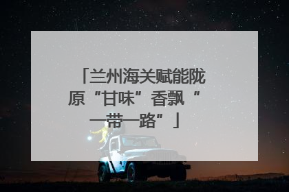 兰州海关赋能陇原“甘味”香飘“一带一路”