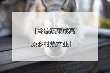 冷凉蔬菜成高原乡村热产业