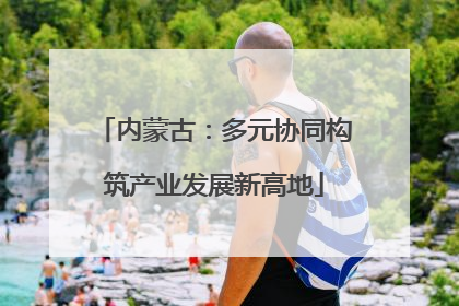 内蒙古：多元协同构筑产业发展新高地