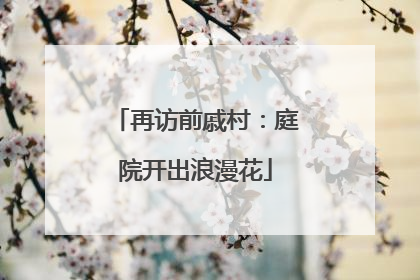 再访前戚村：庭院开出浪漫花