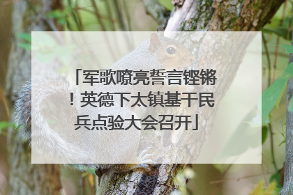 军歌嘹亮誓言铿锵！英德下太镇基干民兵点验大会召开